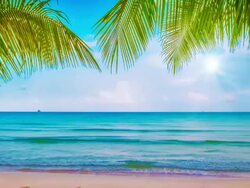 Holiday beach Stock Footage