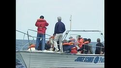 Princess Diana whale watching News Clip