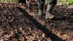 Two people plowing the ground Stock Footage