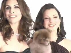 Fran Drescher at Elton John Aids Foundation Celebrates 20th Annual Academy Awards Viewing Party Stock Footage