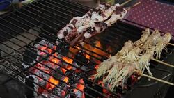 Grilled Squid Stock Footage