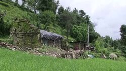 CLEAN : Nepal quake survivors turn porters to deliver aid News Clip