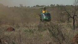 Prince Harry Visits Kruger National Park News Clip