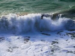 Seagull and ocean surf, slow motion Stock Footage
