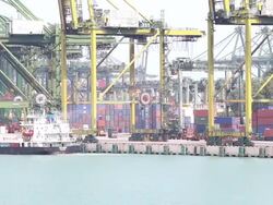 HD time-lapse: warehouse Port background in Singapore Stock Footage