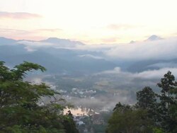 Morning fog. Stock Footage