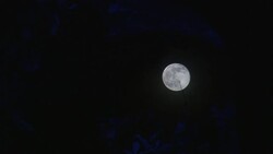 A full moon shines in the night sky. Stock Footage