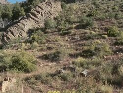 People walking through rural landscape and sunlight on camera Stock Footage