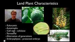 Plants Instructional Video