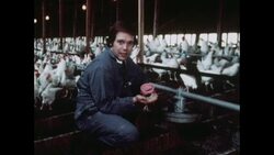 News Item (e6590adb-aad4-cc9f-c2be-3896e5531700) News Clip