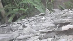 broken Stock Footage