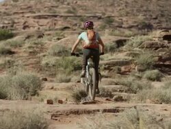 Wide panning shot of dog running with mountain bike / Moab, Utah, United States Stock Footage