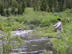 Woman Fly-Fishing Stock Footage