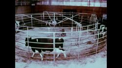 News Item (2b597c21-d32e-ae81-47b7-e3c45af3e7a7) News Clip