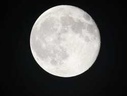 Large Full Moon Moving Right with Crater Detail Stock Footage
