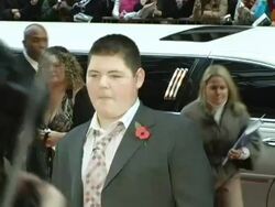 'Harry Potter and The Goblet of Fire' New York Premiere Arrivals Stock Footage