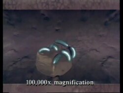 UK: BRITISH REACTION TO EVIDENCE OF LIFE ON MARS News Clip