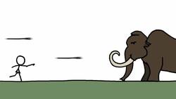 Which Bear Is Best? Instructional Video