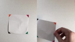 The Mathematics of Symmetry Instructional Video