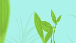 TED-Ed: Can animals be deceptive? - Eldridge Adams Instructional Video