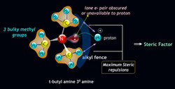 How Basic is Your Molecule? The Role of Inductive Effect Instructional Video