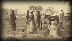 Women's Experience Under Slavery Crash Course Black American History Instructional Video