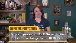 Exploring Evolution and Speciation - Lesson Plan Instructional Video