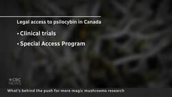 What’s behind the push for more magic mushrooms research News Clip