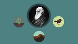 BIOLOGY - Evolution - Charles Darwin's Observations Instructional Video