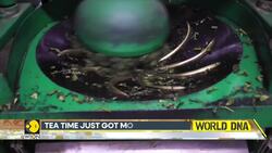 Stepping up your tea game could help reduce metal exposure News Clip