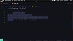 Learn JavaScript from Scratch JavaScript for Everyone - Coding Comments Instructional Video