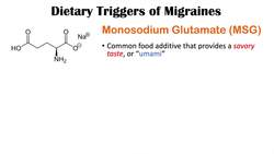 Worst Foods to Eat with Migraines (Dietary Triggers) Instructional Video
