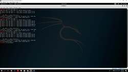 The Complete Ethical Hacking Bootcamp: Beginner To Advanced - Finding Blind Command Injection Instructional Video