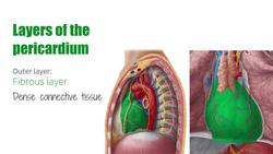 Pericardium Instructional Video