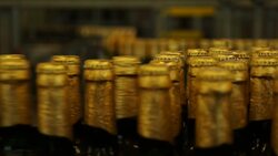 Czech beermaker's Brexit worries Instructional Video