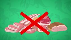 I WONDER - What Did The Iguanodon Eat? Me Pregunto - Qué Comía El Iguanodon? Instructional Video