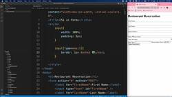 CSS with Forms Instructional Video