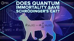 Does Quantum Immortality Save Schrödinger's Cat? Instructional Video