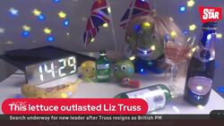 Liz Truss resigns as British PM after only 6 weeks News Clip