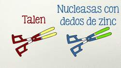 ¿Podemos editar nuestros genes? Instructional Video