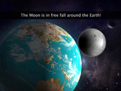 Free Fall Instructional Video