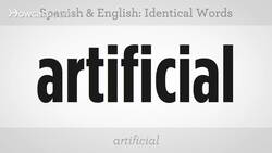 Words that Are Identical in Spanish & English Instructional Video