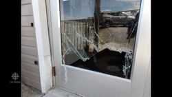 Snakenapping in Corner Brook, N.L. News Clip