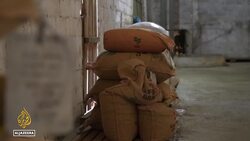 Brazil's coffee shortage: Producers work to mitigate climate change impacts News Clip