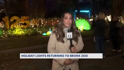 Holiday lights illuminate the Bronx Zoo News Clip