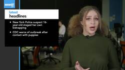 Newsy's Latest Headlines News Clip