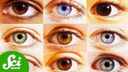 11 Things That Can Change Your Eye Color Instructional Video