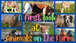 Learn About Farm Animals Instructional Video