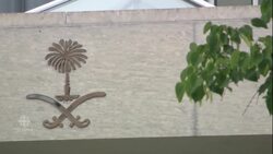 Canada grants asylum to Saudi teen fleeing alleged abuse News Clip