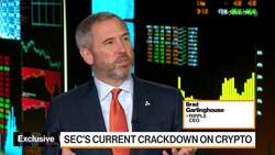 Ripple CEO Says SEC Suit Is 'Not Healthy' for Industry News Clip